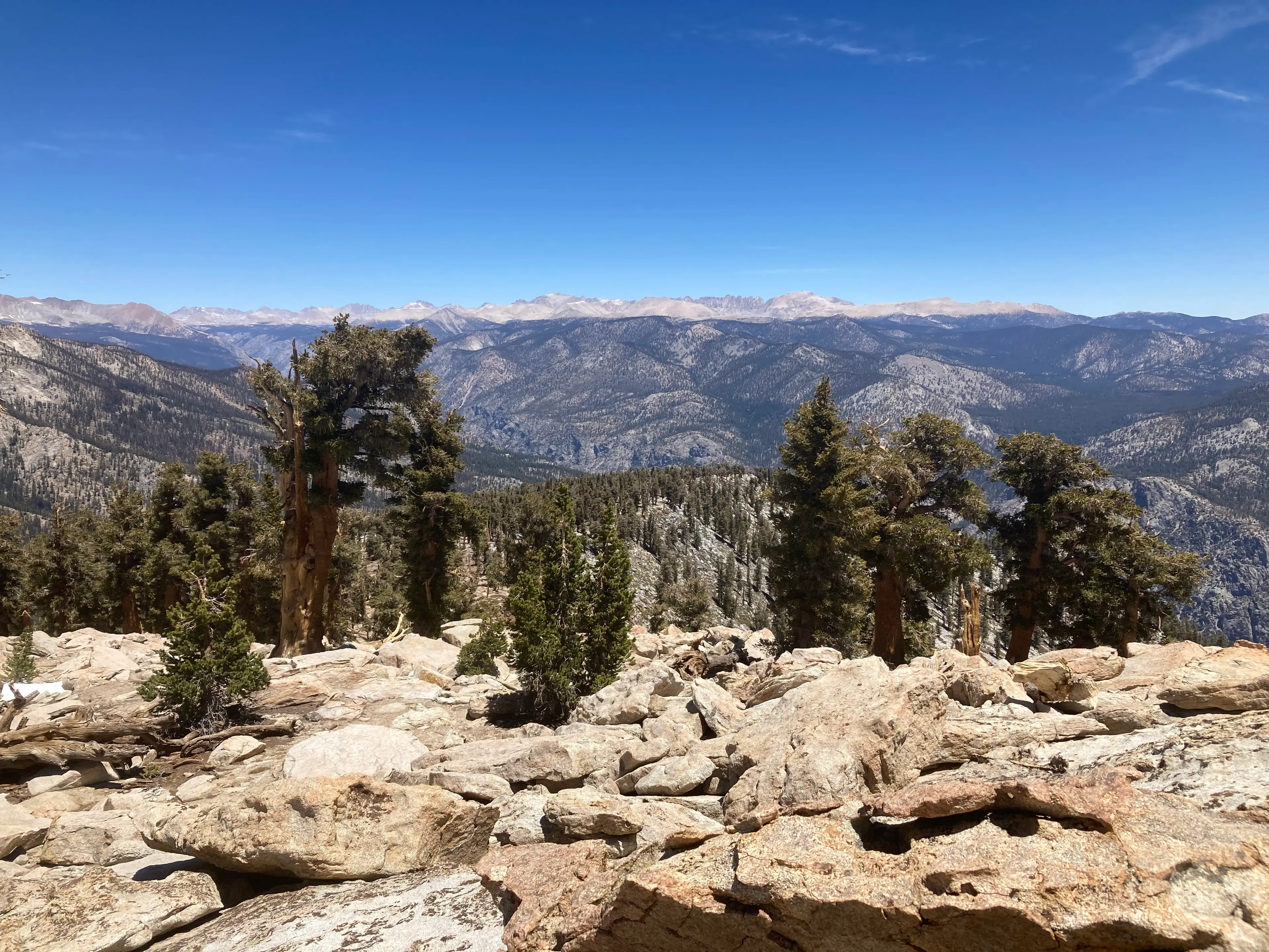 Coyote Peak summit