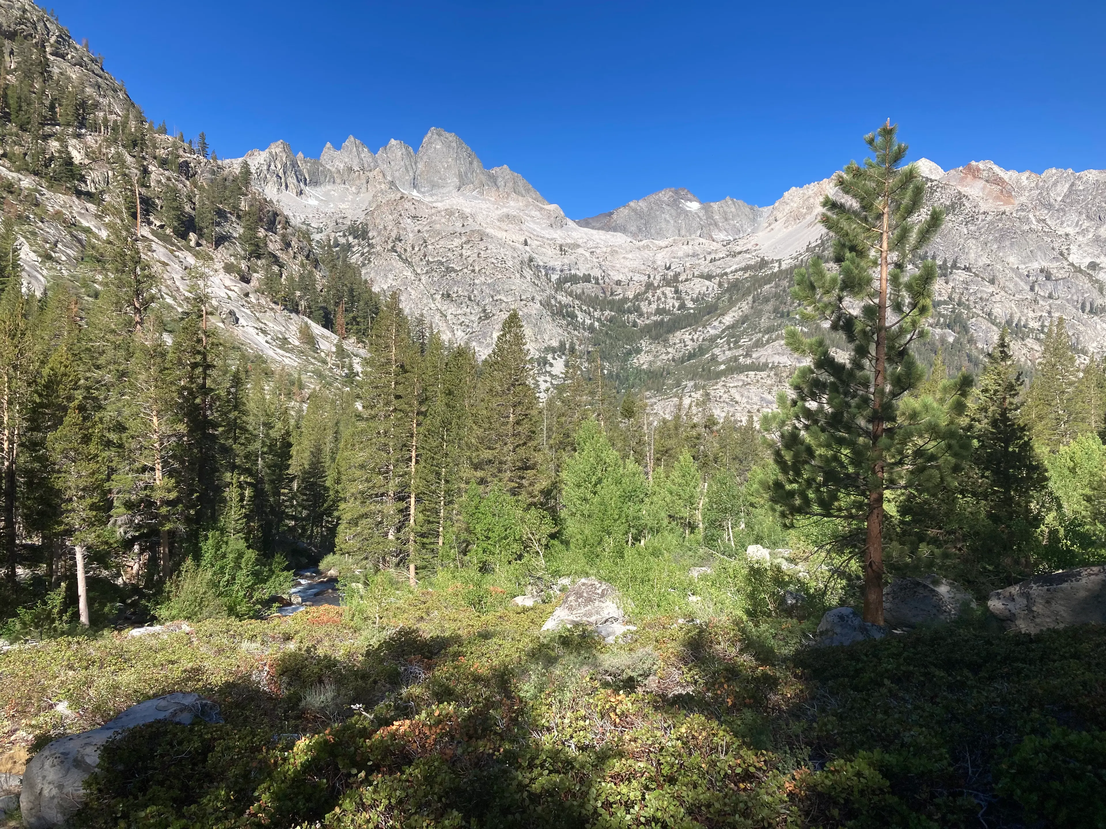 Devils Crags (L) and Wheel Mountain (R)